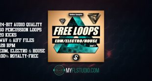 FL studio sample. free Loops Vol 1